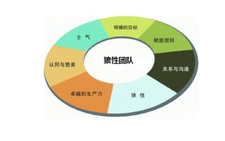 怎樣解決中小企業(yè)人力資源管理問(wèn)題